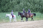 WJ7_8324