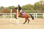 SBM_007613