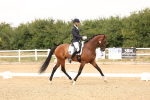 SBM_001795