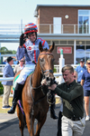 Race 4 15.38pm Don't Miss Summer Family Days @thirskraces Classified Stakes portfolio