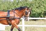 SBM_000871