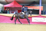 SBM_00761