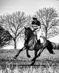 BE 180421 1625bw