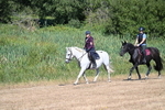 WJ7_7667