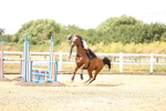 SBM_001271