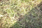 SBM_20219
