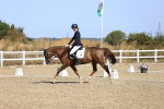 SBM_013084