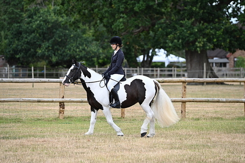 WJ6_3792