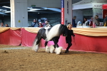 SBM_18462