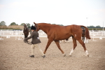 SBM_08227