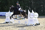 8 British Novice 90cm Open portfolio