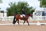 SBM_00258