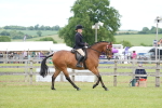 SBM_15813