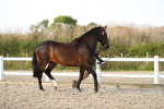 SBM_08720