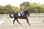 SBM_003589