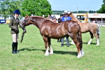 SBM_08050