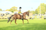 SBM_52270