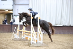 SBM_001391