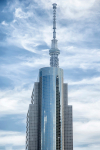 Japan-105