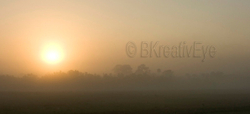 SunCldBchWatr058