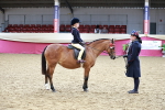 SBM_03046