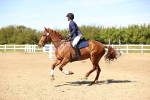 SBM_003027