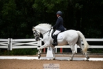 BRC Area 12 Summer Dressage - Click to Enter portfolio