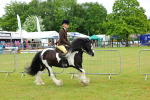 SBM_01162
