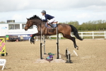 Class 2 - Senior British Novice - 90cm portfolio