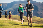 Sale Fell-347