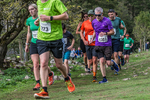 Dovedale-1155
