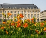 Bordeaux-53