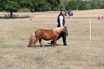 WJ6_4411