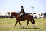 SBM_17728
