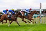 Race 4 15:45 Hats Of Yorkshire Handicap portfolio