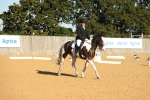 SBM_16437