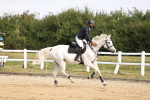 SBM_007353