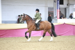 SBM_08951