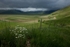 Storm clouds