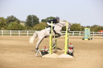 SBM_03338