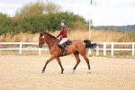 SBM_009629