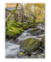 Borrowdale Mill