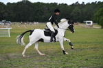 WJ5_6619
