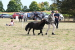 WJ6_7029