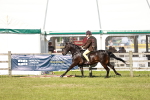 SBM_18542
