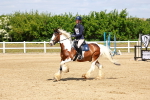 SBM_007810