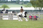 SBM_17242