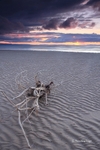 High and dry at Findhorn