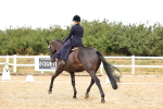 SBM_004631