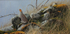 SPRINGWATCH. GREY PARTRIDGE